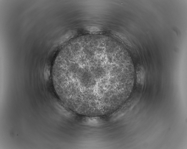 X0000112040618200909141118