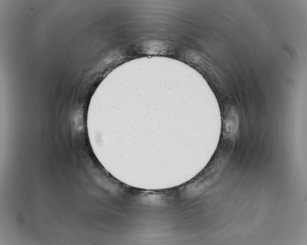 X0000112040620200909141118