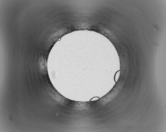 X0000112040624200909141118