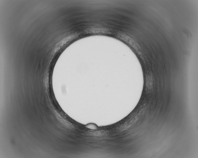 X0000112040629200909141118