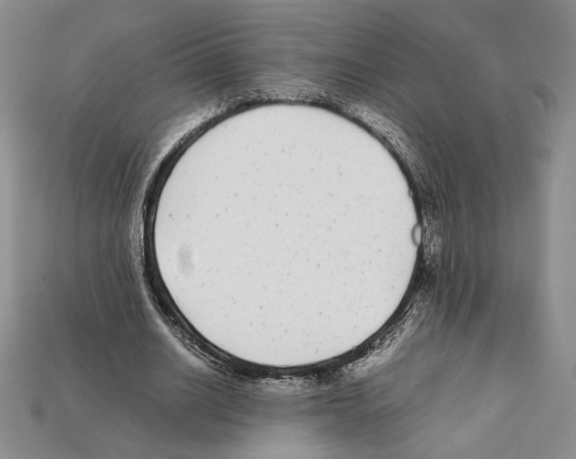 X0000112040630200909141118
