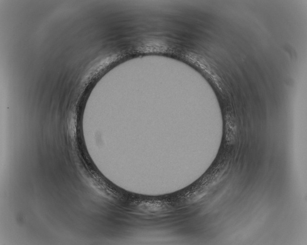 X0000112040631200909141118