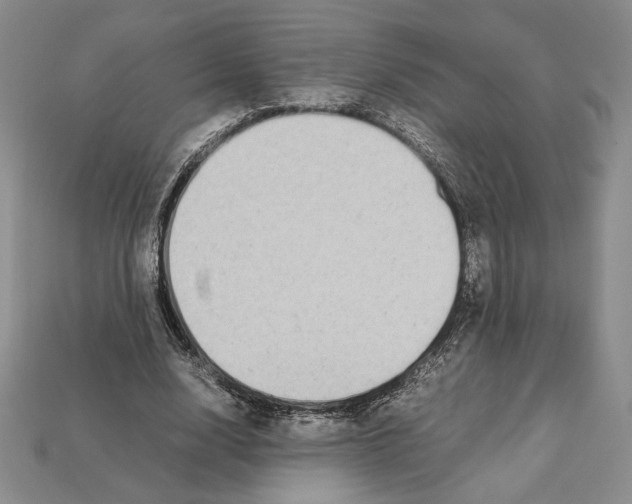 X0000112040632200909141118