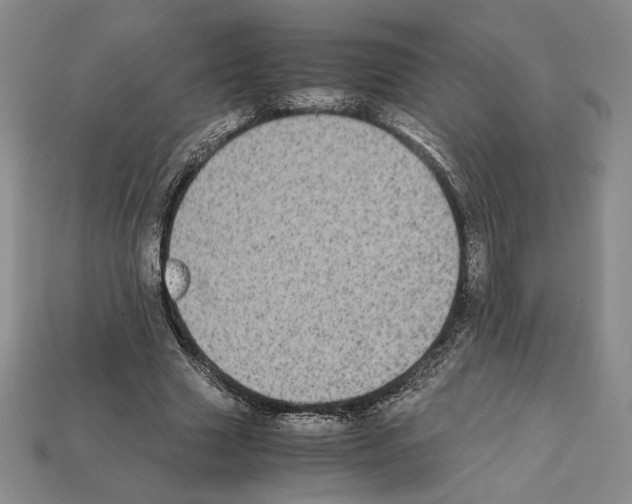 X0000112040633200909141118