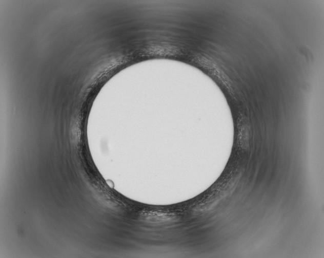 X0000112040635200909141118