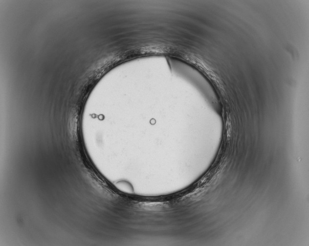 X0000112040637200909141118