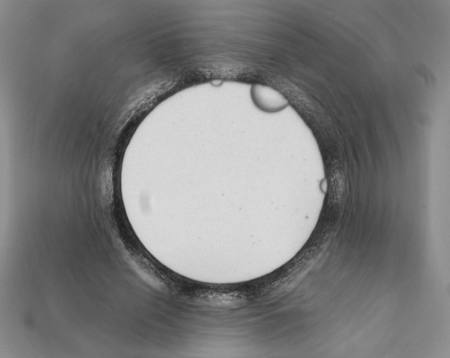 X0000112040638200909141118