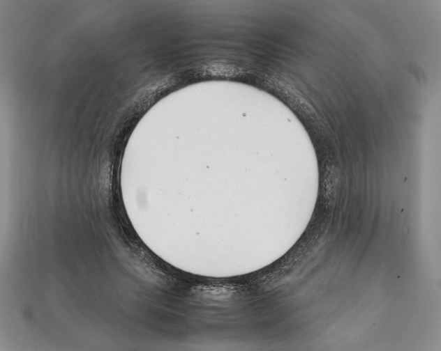 X0000112040639200909141118