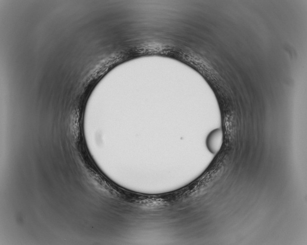 X0000112040642200909141118