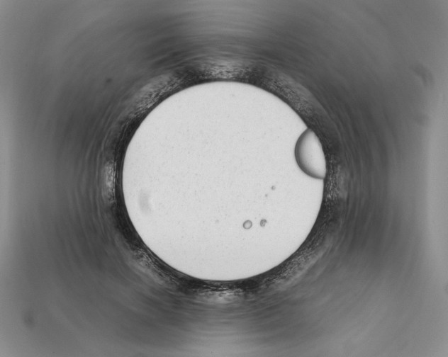 X0000112040646200909141118