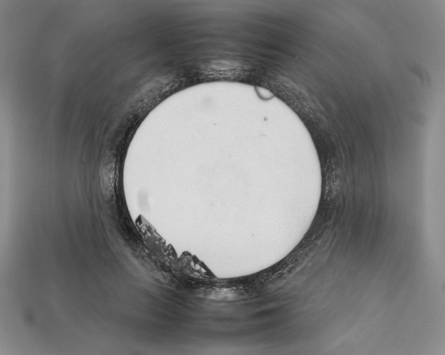 X0000112040647200909141118