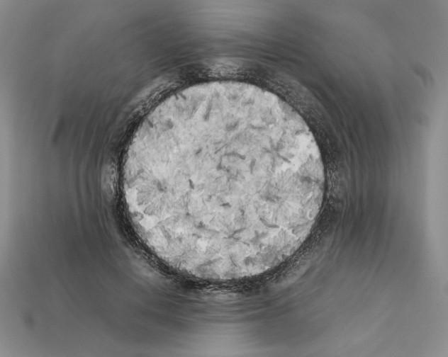 X0000112040648200909141118