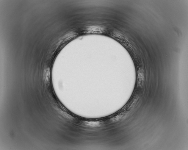 X0000112040649200909141118