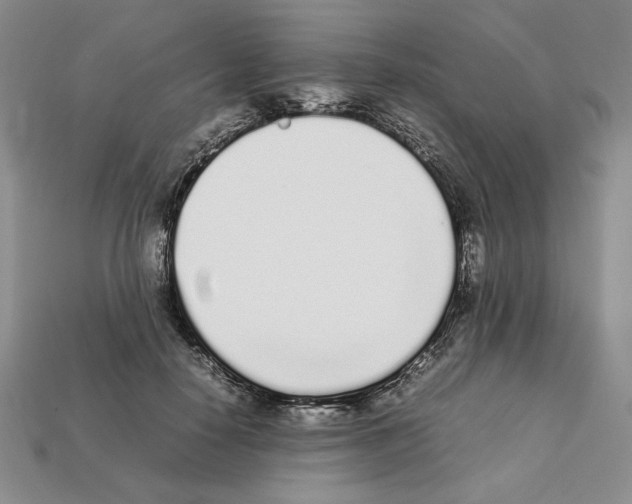 X0000112040650200909141118