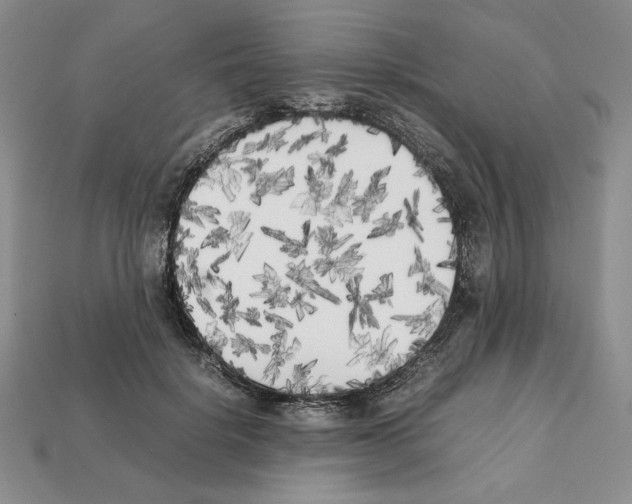 X0000112040652200909141118