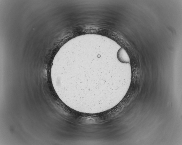 X0000112040655200909141118