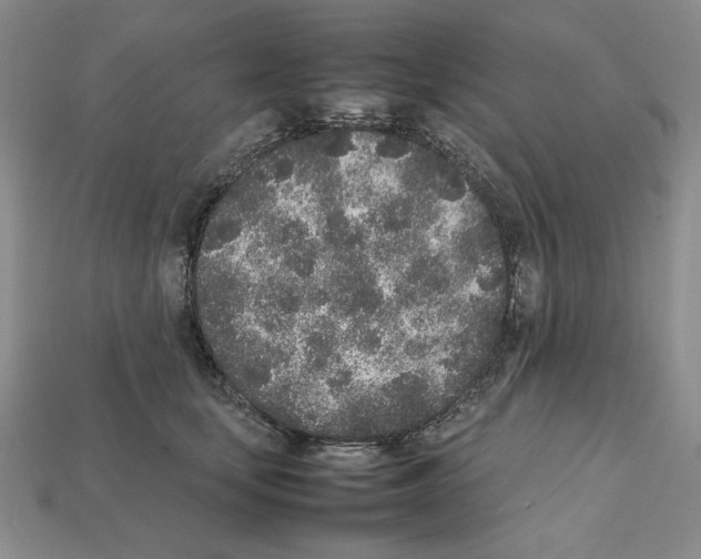 X0000112040659200909141118