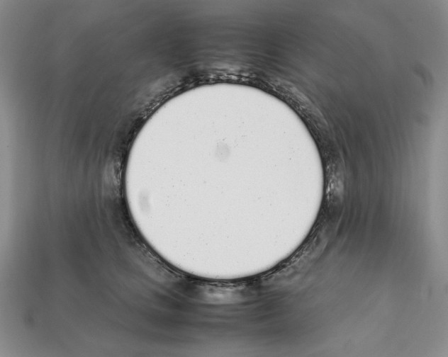 X0000112040661200909141118