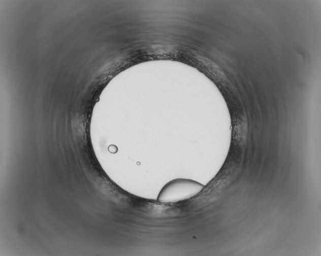 X0000112040662200909141118