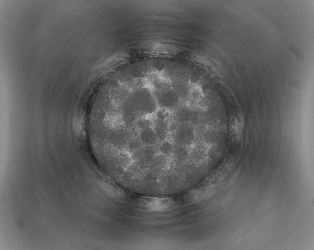 X0000112040663200909141118