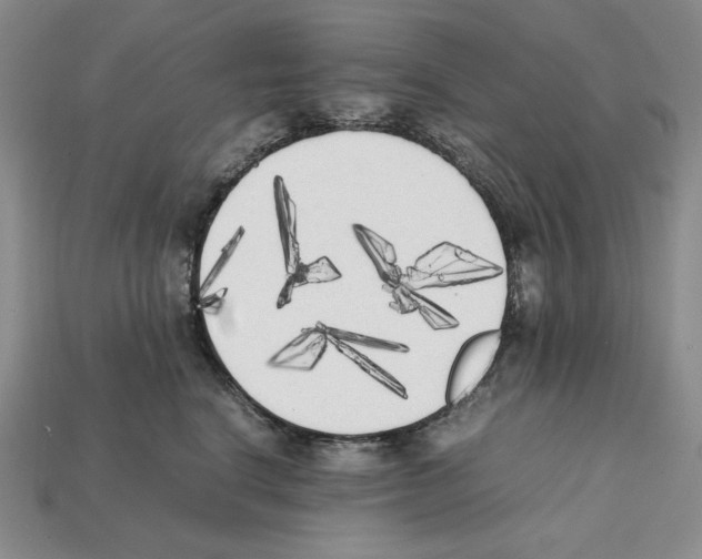 X0000112040664200909141118