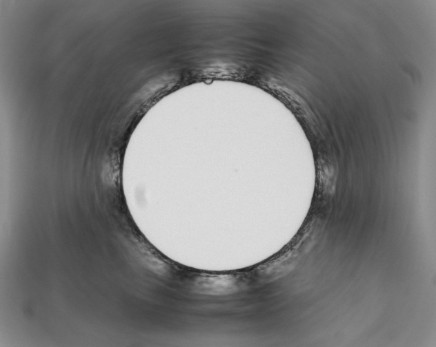 X0000112040665200909141118