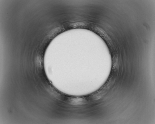 X0000112040669200909141118