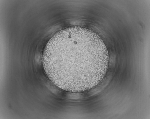 X0000112040671200909141118