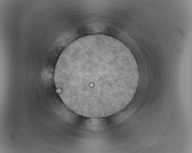 X0000112040672200909141118