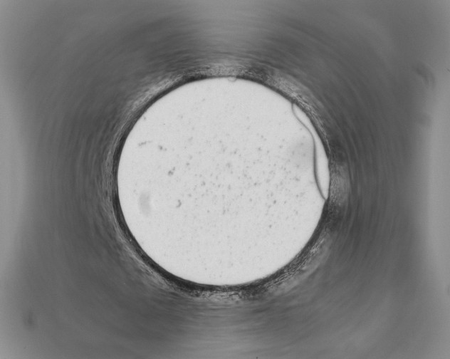X0000112040673200909141118