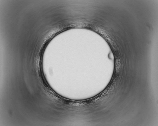 X0000112040679200909141118