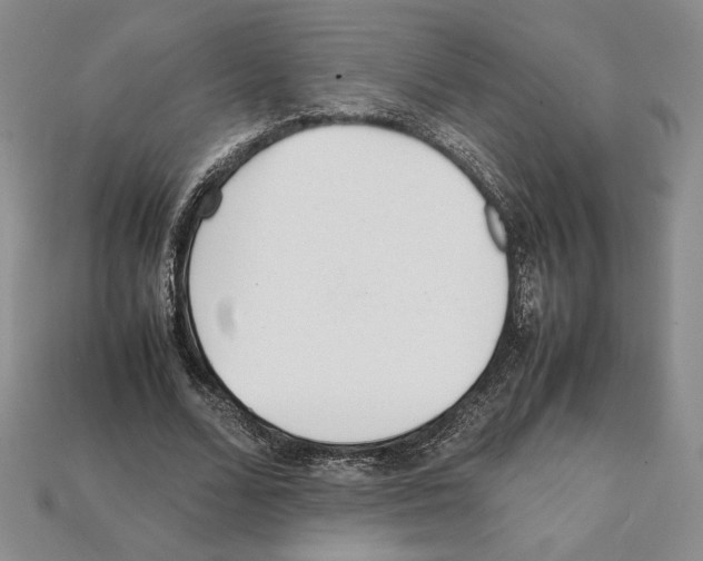 X0000112040680200909141118