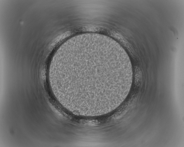 X0000112040683200909141117