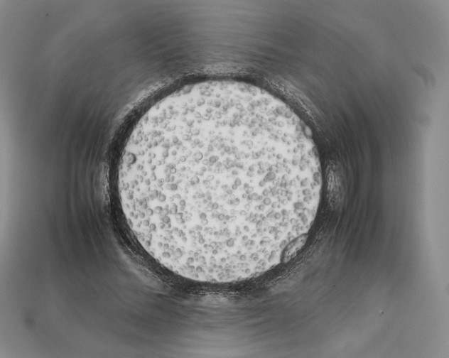 X0000112040684200909141117