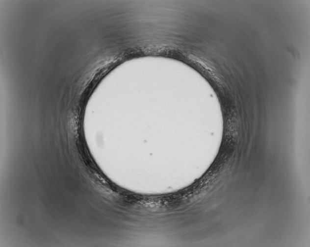 X0000112040687200909141117