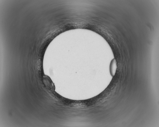X0000112040689200909141117