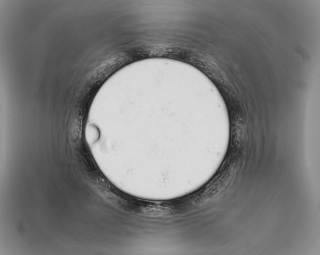 X0000112040691200909141117