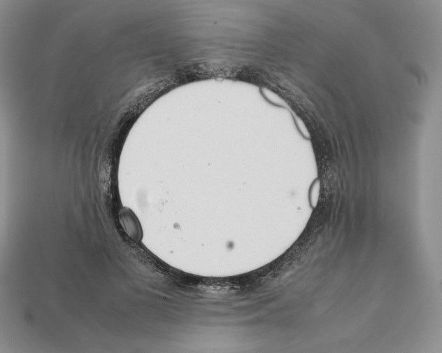 X0000112040693200909141117