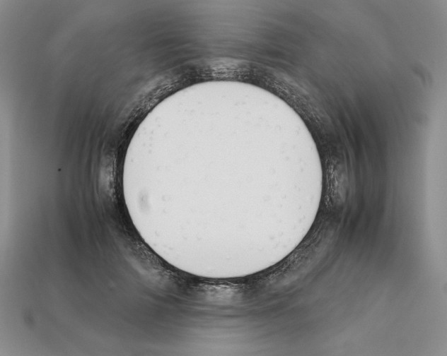 X0000112040698200909141117