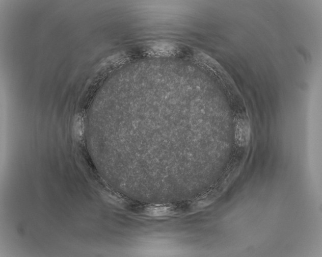 X0000112040701200909141117