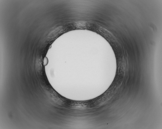 X0000112040702200909141117