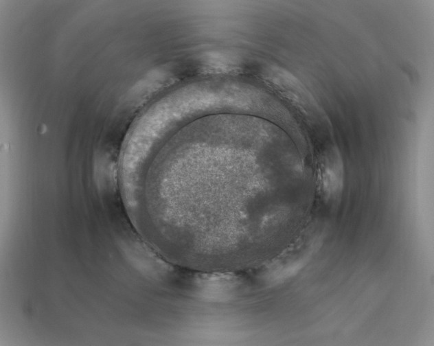 X0000112040716200909141117
