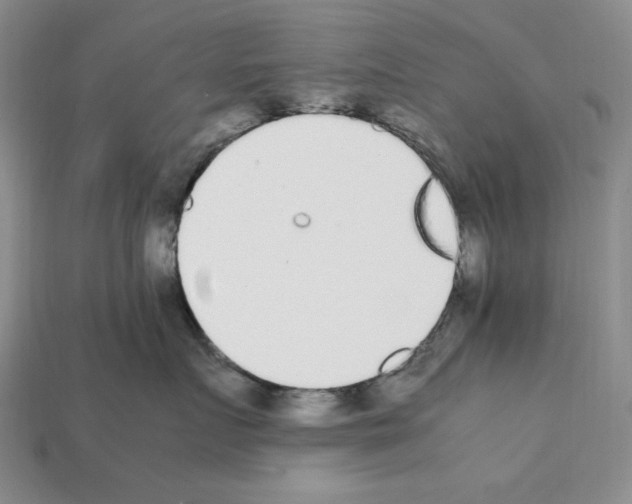 X0000112040719200909141117