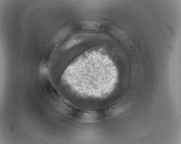 X0000112040720200909141117