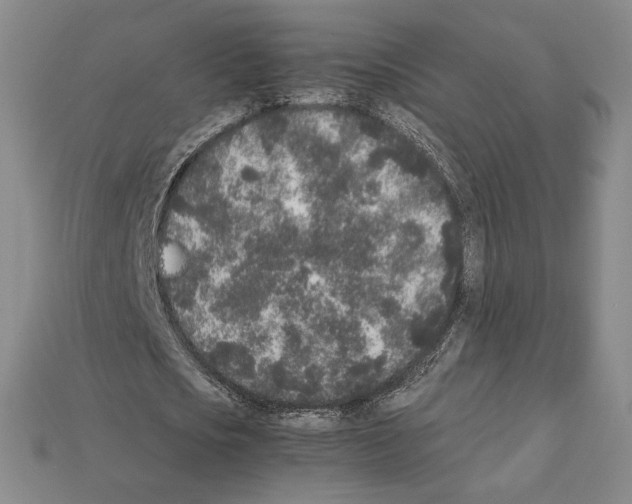 X0000112040721200909141116