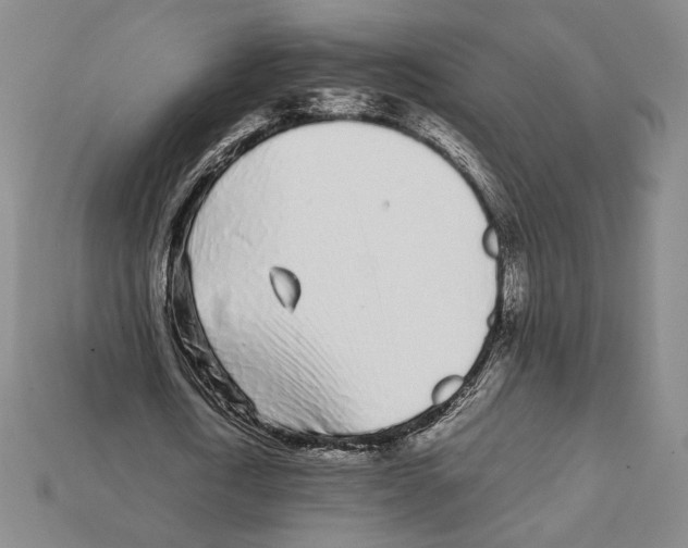 X0000112040722200909141116