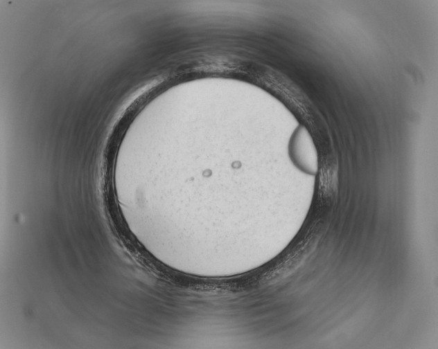 X0000112040724200909141116