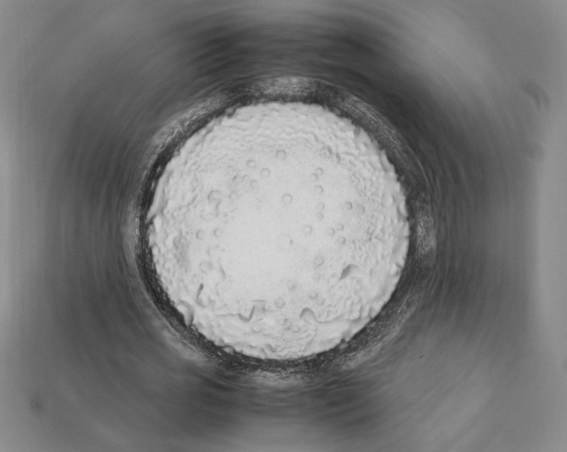 X0000112040725200909141116