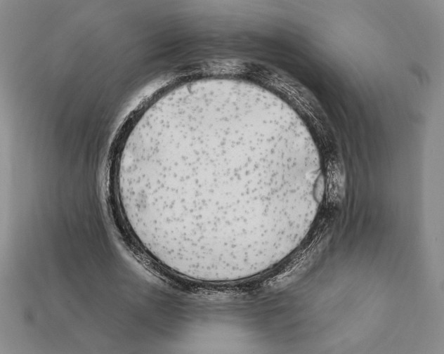 X0000112040726200909141116