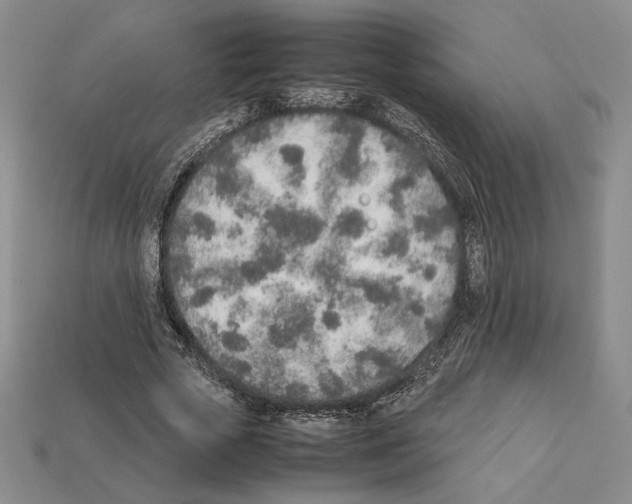 X0000112040729200909141116